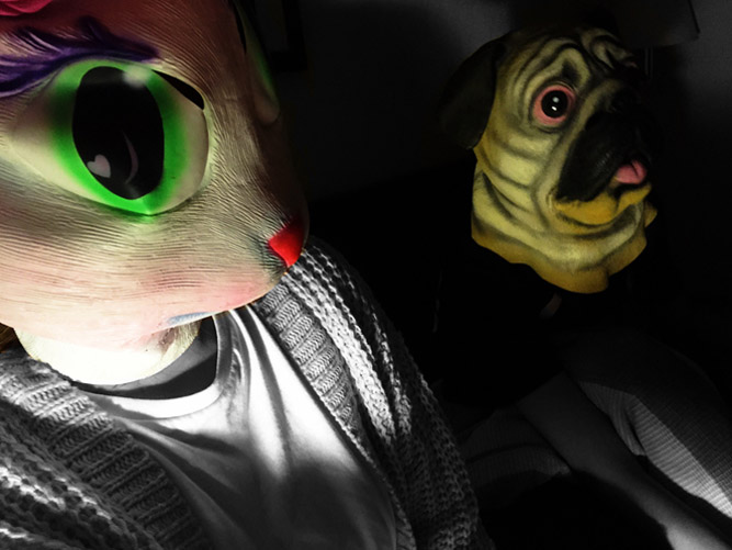 The Pug